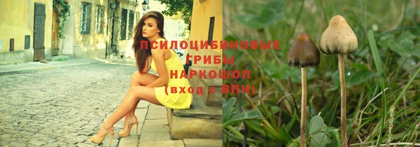 ECSTASY Осинники