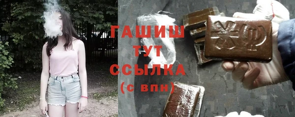 индика Весьегонск