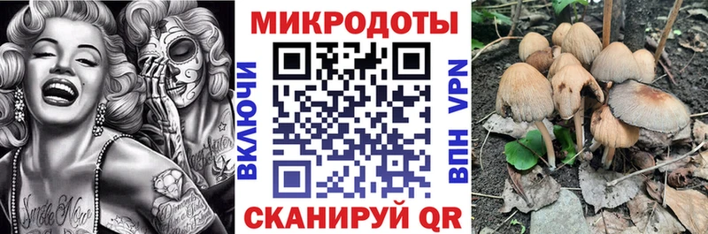 Галлюциногенные грибы прущие грибы  Каменск-Шахтинский 
