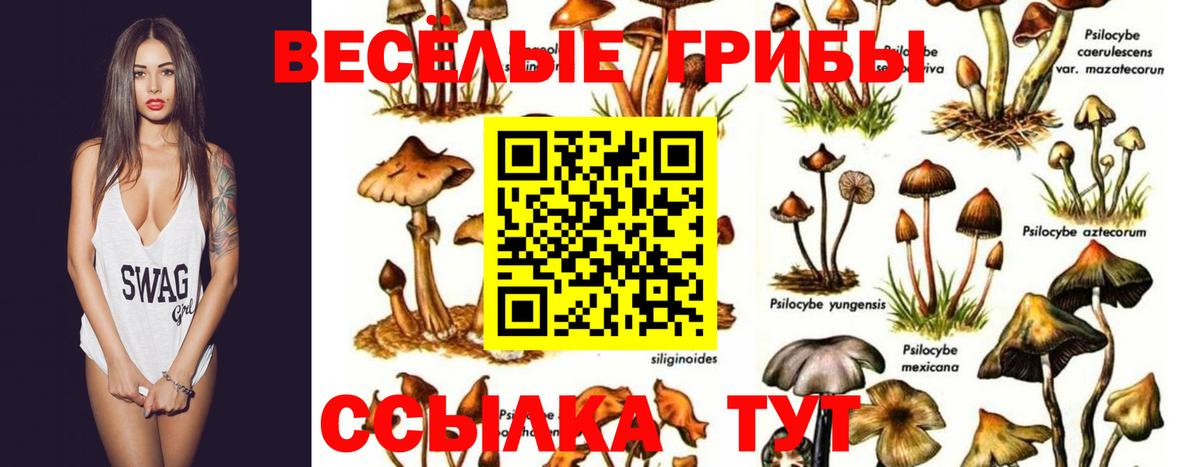 Каменск-Шахтинский  Псилоцибиновые грибы Psilocybine cubensis  Галлюциногенные грибы Magic Shrooms  Вход с VPN 